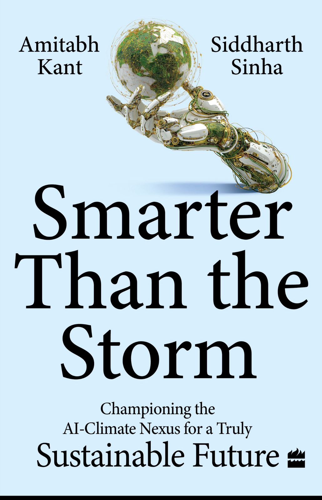 smarter than the storm book cover