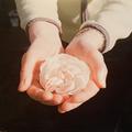 rose julia lindsay