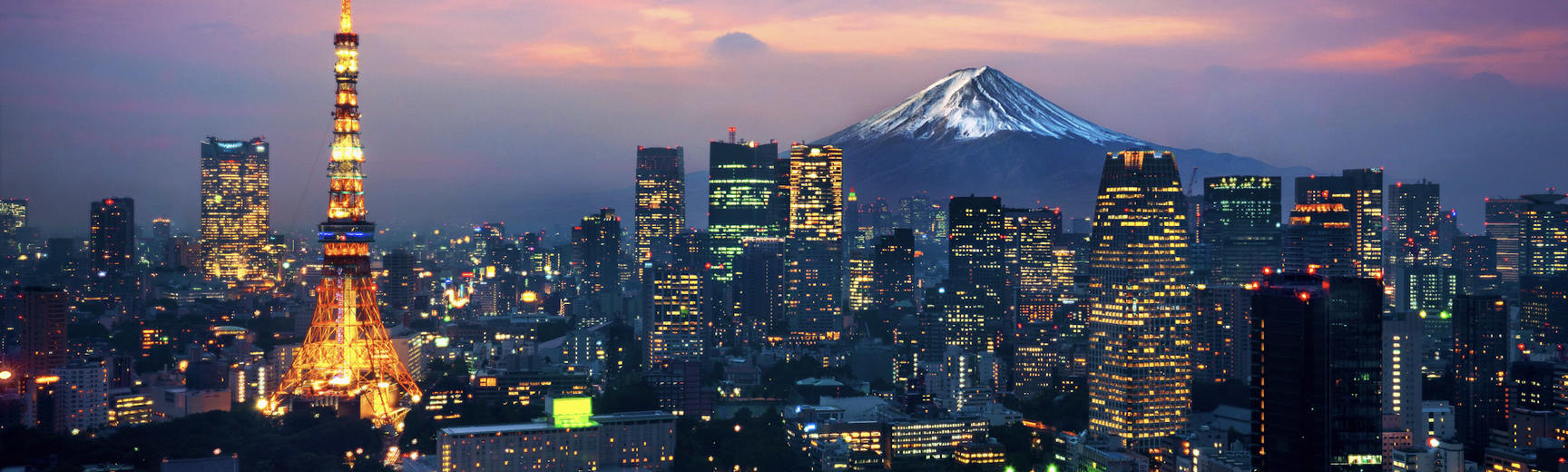 aerial view tokyo cityscape with fuji mountain japan