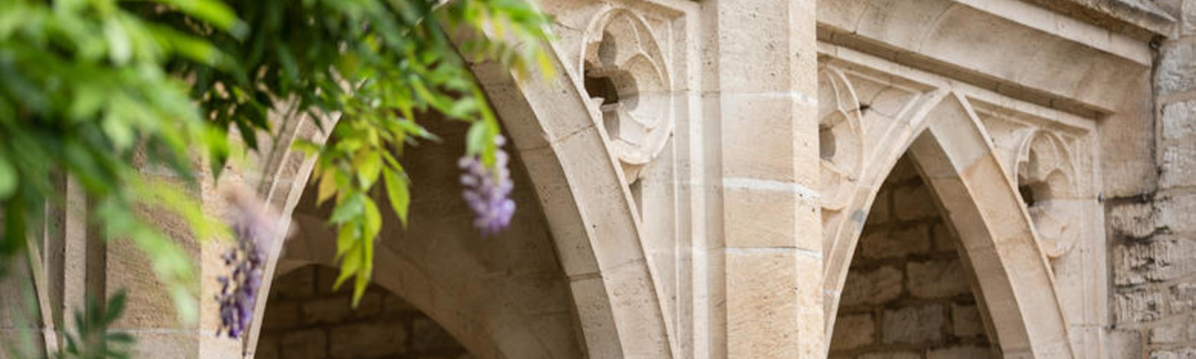 arches with wisteria