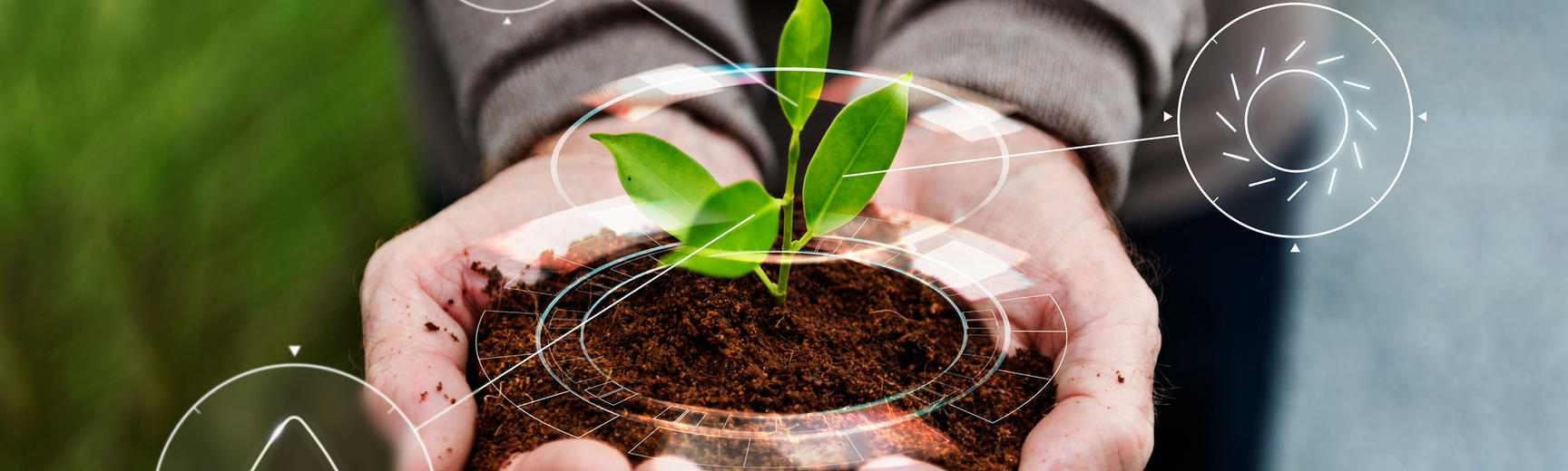 Careers in sustainability