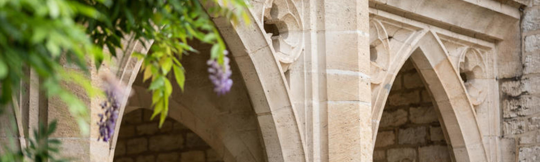 arches with wisteria