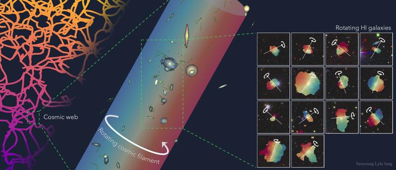 A figure illustrating the rotation of neutral hydrogen (right) in galaxies residing in an extended filament (middle), where the galaxies exhibit a coherent bulk rotational motion tracing the large-scale cosmic web (left). Credit: Lyla Jung
