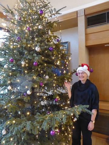 Caroletree caroletree