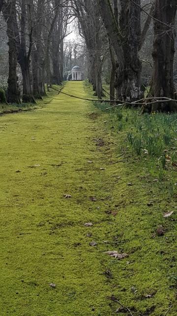 castle howard