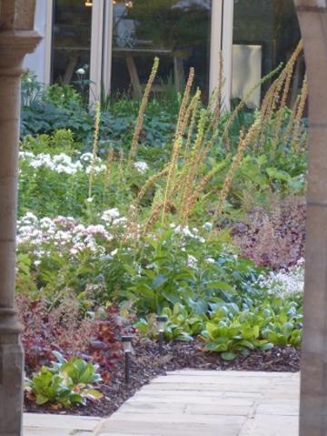 Garden garden