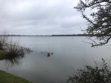 port meadow edit