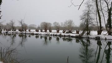 Snow2 snow2