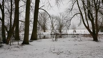Snow3 snow3