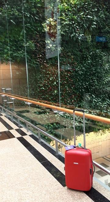 Suitcase suitcase