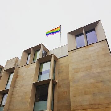 Rainbow flag rainbow flag